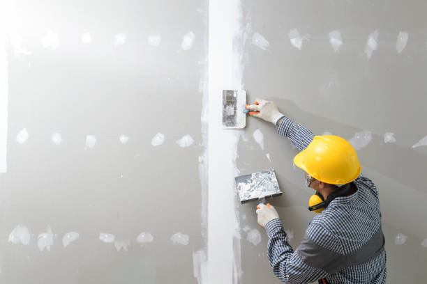 Trusted Springfield, NE Painting & Drywall Installation Experts